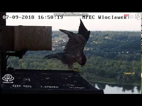 MPEC Włocławek Poland - An amazing departure. Evil Glinka attacked the lamp -  2018 09 07 16 49