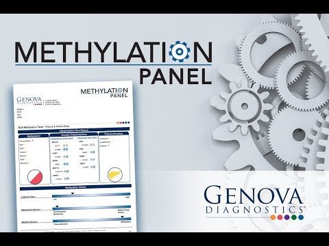 Introduction to Genova Diagnostics' Methylation Panel