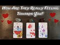 💕🌟 How Are They Really Feeling Towards You? 💕🌟🤯  Pick A Card Love Reading