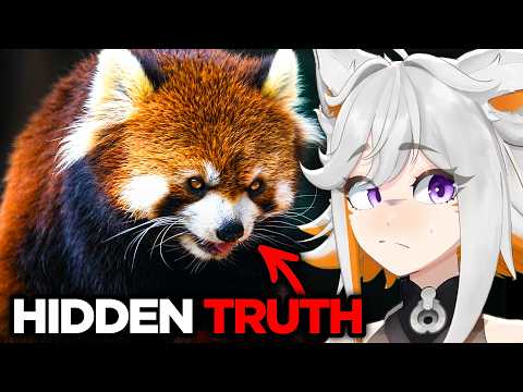 The TRUTH About Red Pandas...