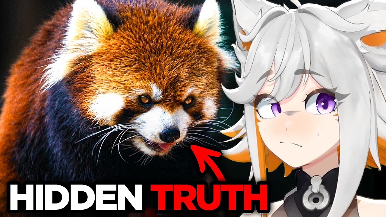 The TRUTH About Red Pandas...