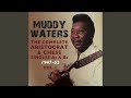 You're Gonna Need My Help - Muddy Waters - Topic You're Gonna Need My Help