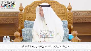 445 - هل تقتص الحيوانات من البشر يوم القيامة؟ - عثمان الخميس