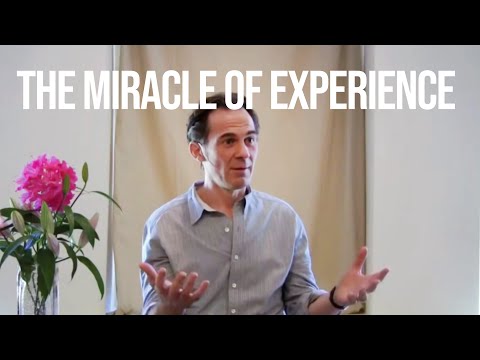The Miracle of Experience | Rupert Spira