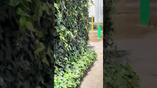 【TikTok】《ショート》セクシーな縦動画：Miki.infinita@miki.infinita #beautiful  #すっぴん美人 #outfit #揺らぎ