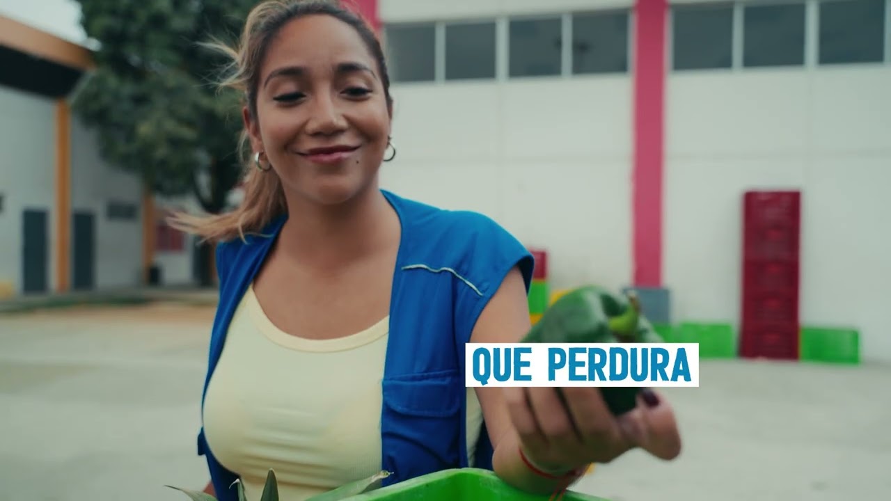 WFP x Iglesia de Jesucristo