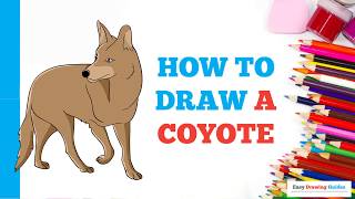 How to Draw a Coyote in a Few Easy Steps: Drawing Tutorial for Beginner Artists