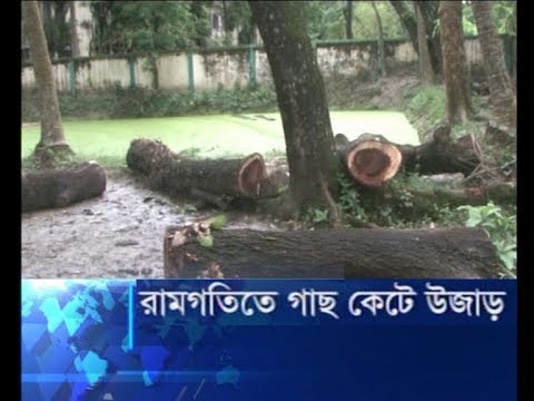 রামগতিতে গাছ কেটে উজার