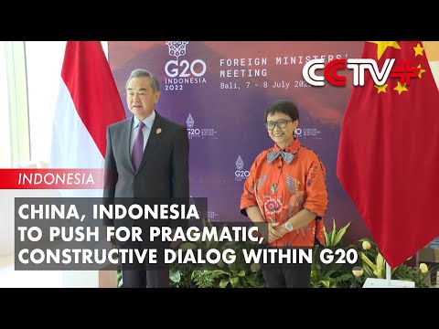 China, Indonesia to Push for Pragmatic, Constructive Dialog within G20