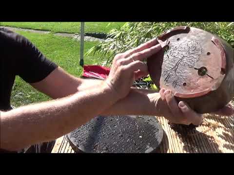 Bonsai 2019-18 - Buche - Fagus - aus zwei mach eins!