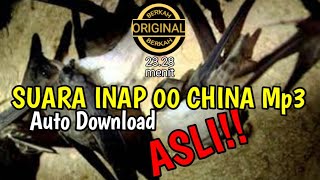 Download lagu Suara INAP 00 China Asli Mp3 || Asli Mantap || mp3 Download lagu Suara INAP 00 China Asli Mp3 || Asli Mantap || mp3