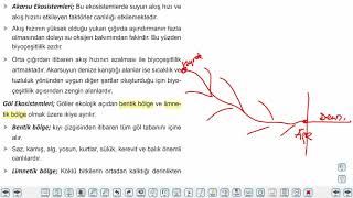 Eğitim Vadisi AYT Coğrafya 1.Föy Ekosistemlerin Özellikleri ve İşleyişi 4 (Su Ekosistemleri) Konu Anlatım Videoları