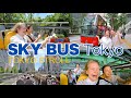 Experience a "360° Tokyo Panorama" on a Double-Decker Open Bus! 【English Subs】