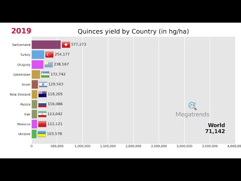 Top 10 Countries by Yield of Quinces (1961 - 2019)