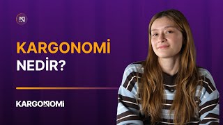 En Uygun Fiyatlı Kargo Çözümü: Kargonomi Nedir? 🚀💰