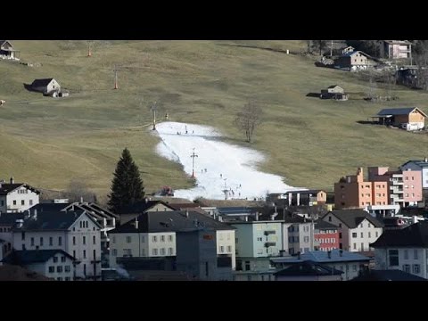 Green meadows instead of white snow: The lack of snow is precarious - Ski - Ski resorts - Snow - ...