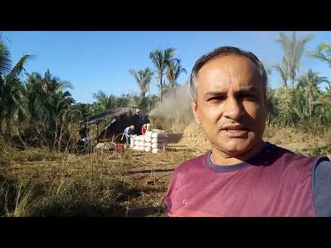 Vereador do interior