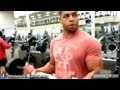 Pull Day Back And Biceps Workout Hodgetwins