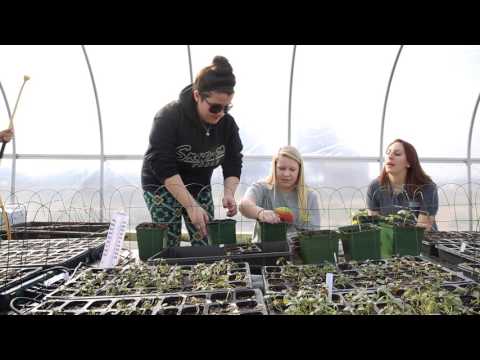 Jenny Rhodes shorter version