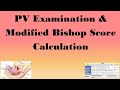 PV Examination Modified Bishop Score Calculation