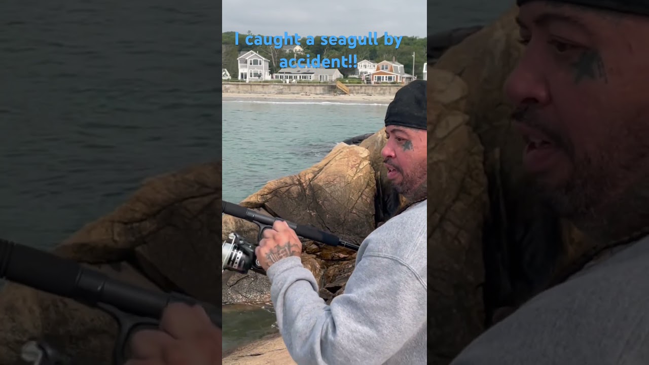 I caught a seagull by accident and released him!! #hiphop