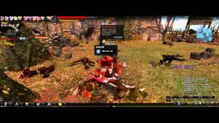 허크 벤체너 초입