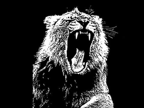 Martin Garrix vs. Dyro & Ansol vs. Gregor Salto - Top Of The Azumba Animals (Nico Beast Bootleg)