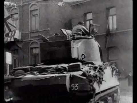 Meeuwen Sterven in de haven