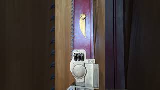 Re: [40K] 道具：鏈鋸劍(可動，3D列印)