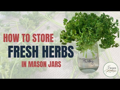 How to Have Fresh Herbs for 6-8 Weeks?? 😮 🌿
