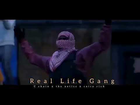 cairo rich x the xoticc x c chain Real Life Gang  official music  video