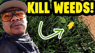 KILL WEEDS FAST! Full Products List!