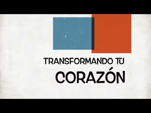 Curso de nutrición para no expertos