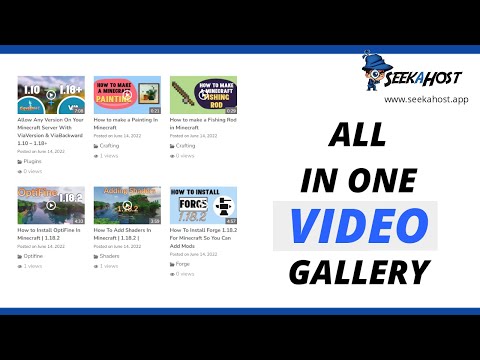 Install a Video Gallery To Your Website On WordPress | All In One Video Gallery