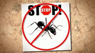 preview picture of video 'Pest Control Jacksonville Al-(888) 458-0008'