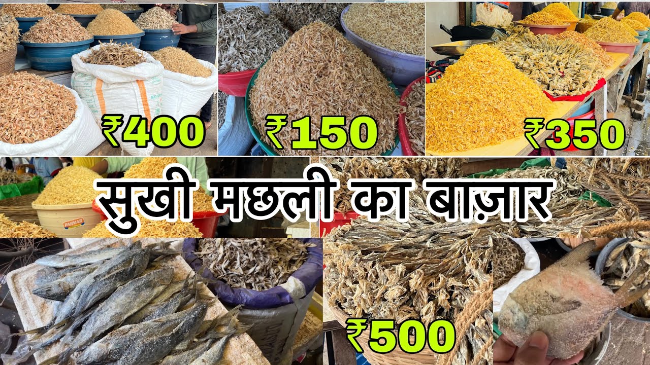 सुखी मछली की मार्किट / Sewri Dry Fish Market | Dried Fish Market | Wholesale Dry Fish Market
