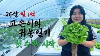 빚만 1억이 넘는 귀농을 결정한 26살 젊은 아가씨ㅣ 안정적인 은퇴 후 귀농 방법 ㅣ 청년귀농ㅣ고은이의 귀농…