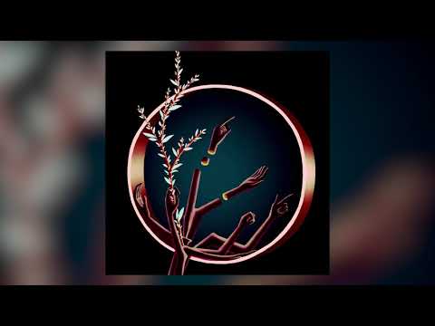 Polygonia - The Desire For Power [IO:021 / IO]