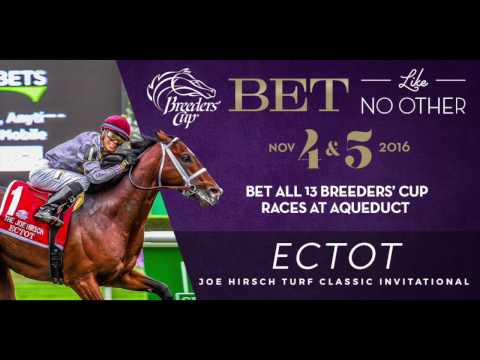 Ectot - Road to the Breeders' Cup
