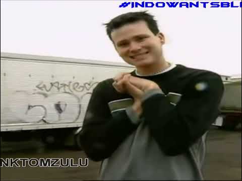 블링크182 | 듀드랜치 시절(1997-1998)🐃 [자막]