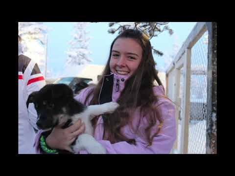 Lapland Trip - Fall Semester 2019