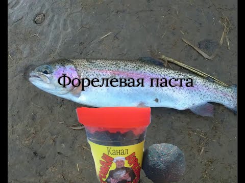 #форелеваяпаста Как можно сделать дома пасту для рыбалки на форель на поплавочную удочку