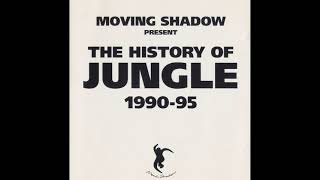 The History of Jungle 1990-95