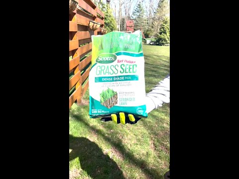 Your Dream Lawn - Scotts Turf Builder