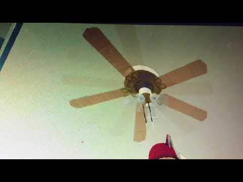 i saw danicx on a roblox game fan of danicx apphackzone com