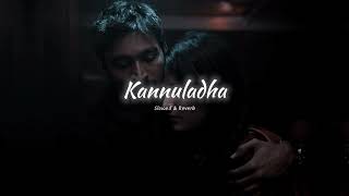 Download lagu Kannuladha Song 🦋😘 - ( Slowed & Reverb ) | 3 Movie | mp3 Download lagu Kannuladha Song 🦋😘 - ( Slowed & Reverb ) | 3 Movie | mp3