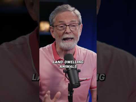 Don’t dinosaurs pre-date the biblical age of the Earth?