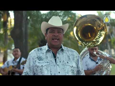 EL TIGRILLO PALMA -   30 CARTAS