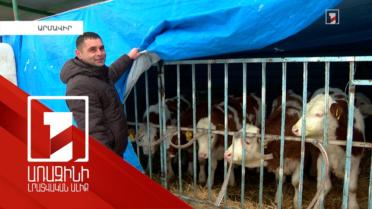 Փոփոխություններ խելացի անասնաշենքերի կառուցման ծրագրում. ծրագիրը բարելավվում է