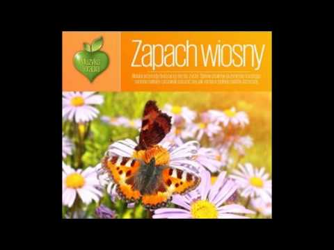 MUZYKOTERAPIA - Odgłosy ptaków wśród szumu trzcin nad jeziorem...